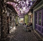 Magical Flower Street In Greece