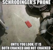 Nothing Scares Me More Than Schrödinger’s Phone