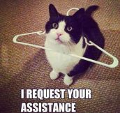Human, You’re Needed