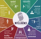 The Types Of Intelligence