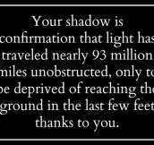 The Truth About Your Shadow
