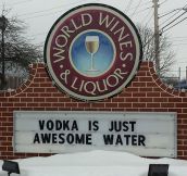 Truth About Vodka