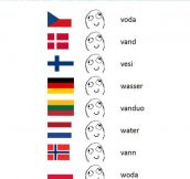 H2O In Different Languages