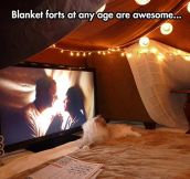 Spread The Blanket Fort Love