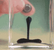 Ferrofluid In A Bottle