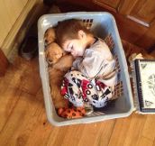 Laundry Basket Snuggle Session