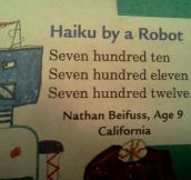 Haiku By A Robot