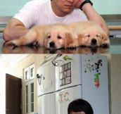 Jacky Chan Is A Dog Lover