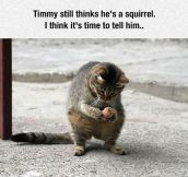 Poor Timmy