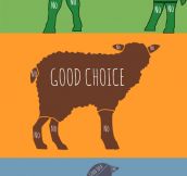 The Right Way To Pet Animals