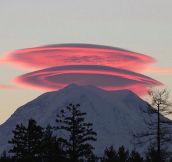 Double Lenticular Clouds Over Mt. Rainier