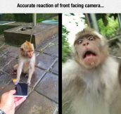 Front Facing Camera Reaction