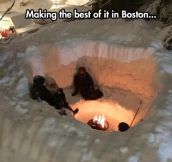 The Coolest Boston Snow Fort