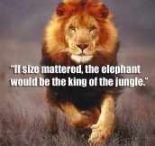 If Size Really Mattered