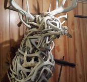 Magnificent Sculpture Using Antlers