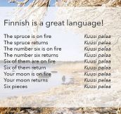 Finnish Is Probably The Best Language
