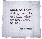 What We Fear Doing