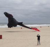 The Best Kite Ever