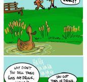 Unexpected Duck Encounter