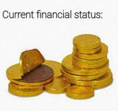 Financial Situation
