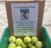 Man Makes A Memorial To Honor His Best Friend