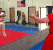 The Most Impressive Martial Arts Move In The World