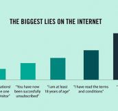 Internet Lies