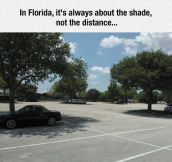 All About The Shade