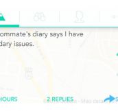 Roommate’s Diary