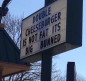 Truth About Double Cheeseburgers