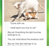 How To Be A Cat Lessons