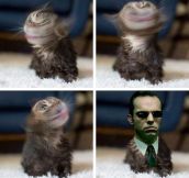 Agent Smith Has Gone Too Far This Time