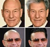 If Bald Celebrities Had Hair