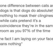One Difference Between Cats And Dogs