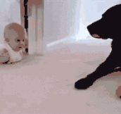 Baby Bonding With The Pet Dog