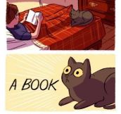 Cats Vs. Books