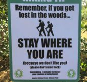 If You Get Lost In The Woods