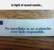 Snowflake In An Avalanche