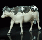 This Is How I Imagine A Cow Looks Like Inside