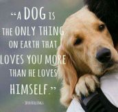 Truth About Dogs