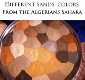 The Colors Of Sand