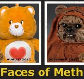 The Faces Of Meth