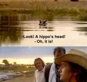 Hippo’s Head