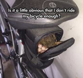Your Bike Is Now A Bird Minivan