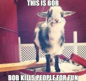Bob Is Creepy