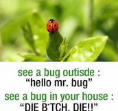 Whenever I See A Bug