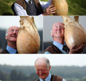 He Just Looks So Happy With His Onion