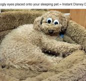 Instant Disney Dog