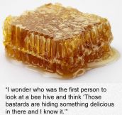 The Person Who Discovered Honey