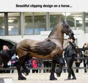 Fantastic Clipping Work